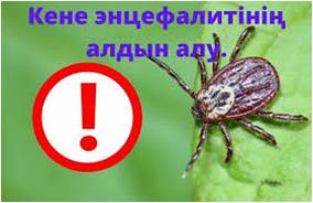 Профилактика клещевого энцефалита
