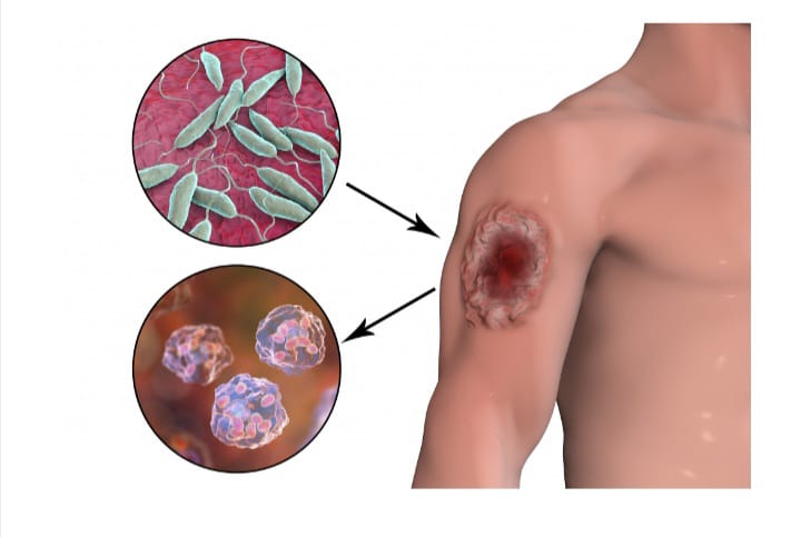 Анусқа қаншалықты терең енгізуге болады? Анусқа қаншалықты терең енгізуге болады?