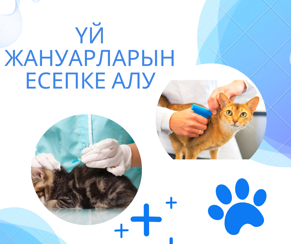 Порно фотосуреттерді қараңыз Балалармен жыныстық қатынас туралы бейнелерді қараңыз