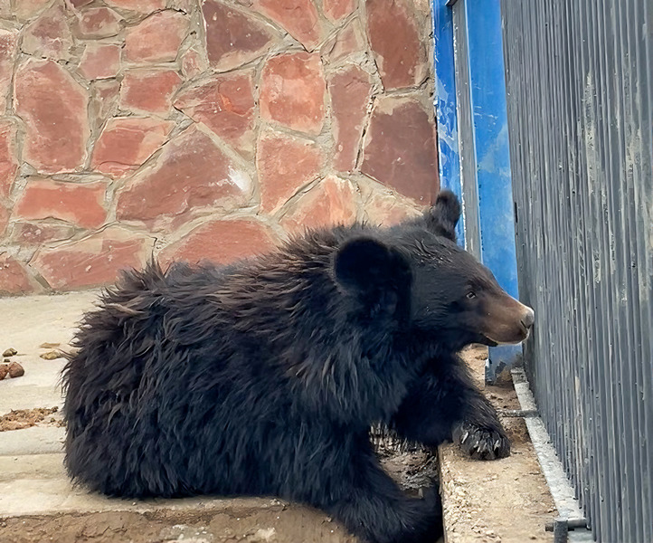 Жалаңаш әйелдерге арналған торлы шұлықтар