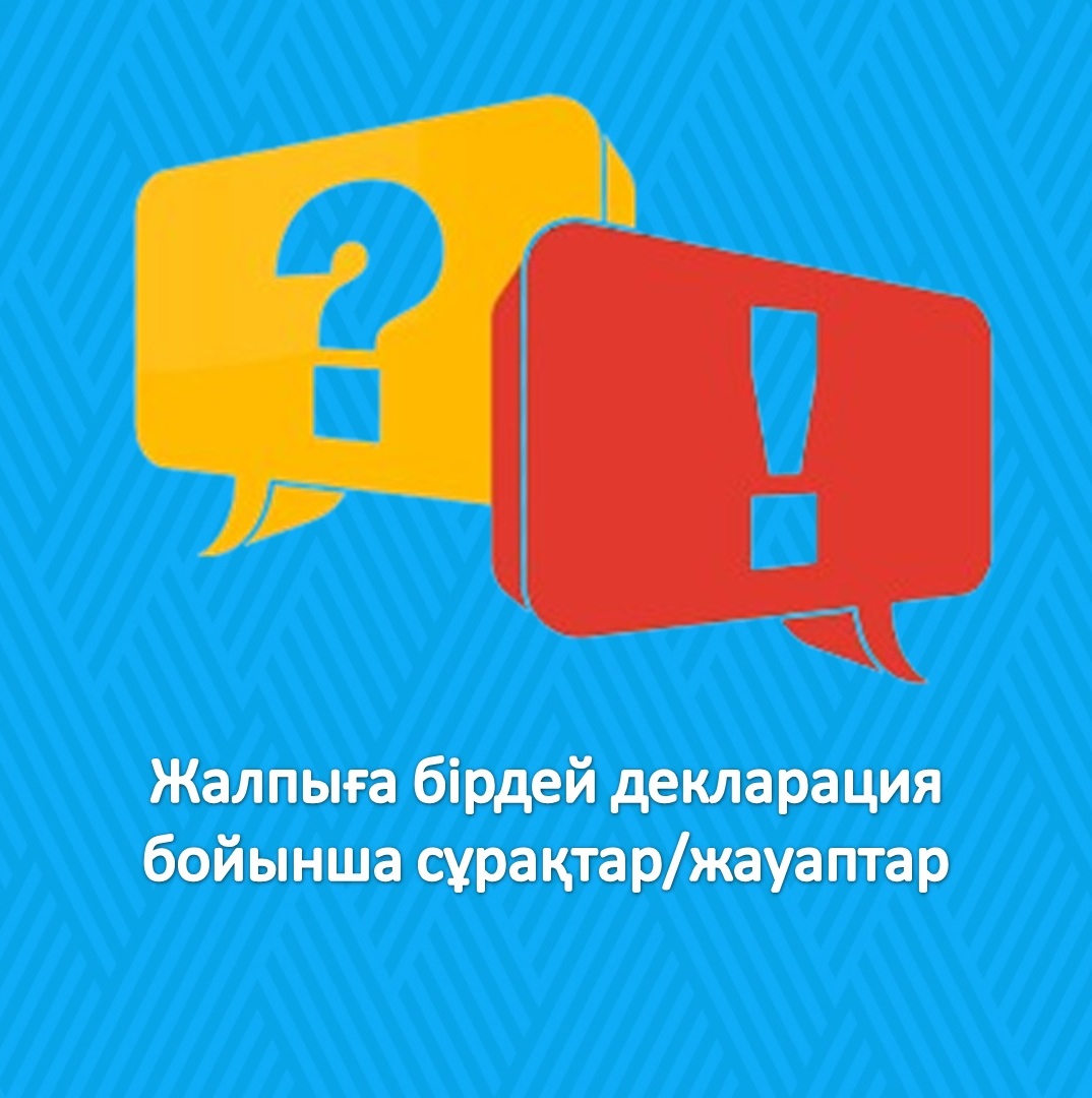 Жалпыға бірдей декларация бойынша сұрақтар/жауаптар