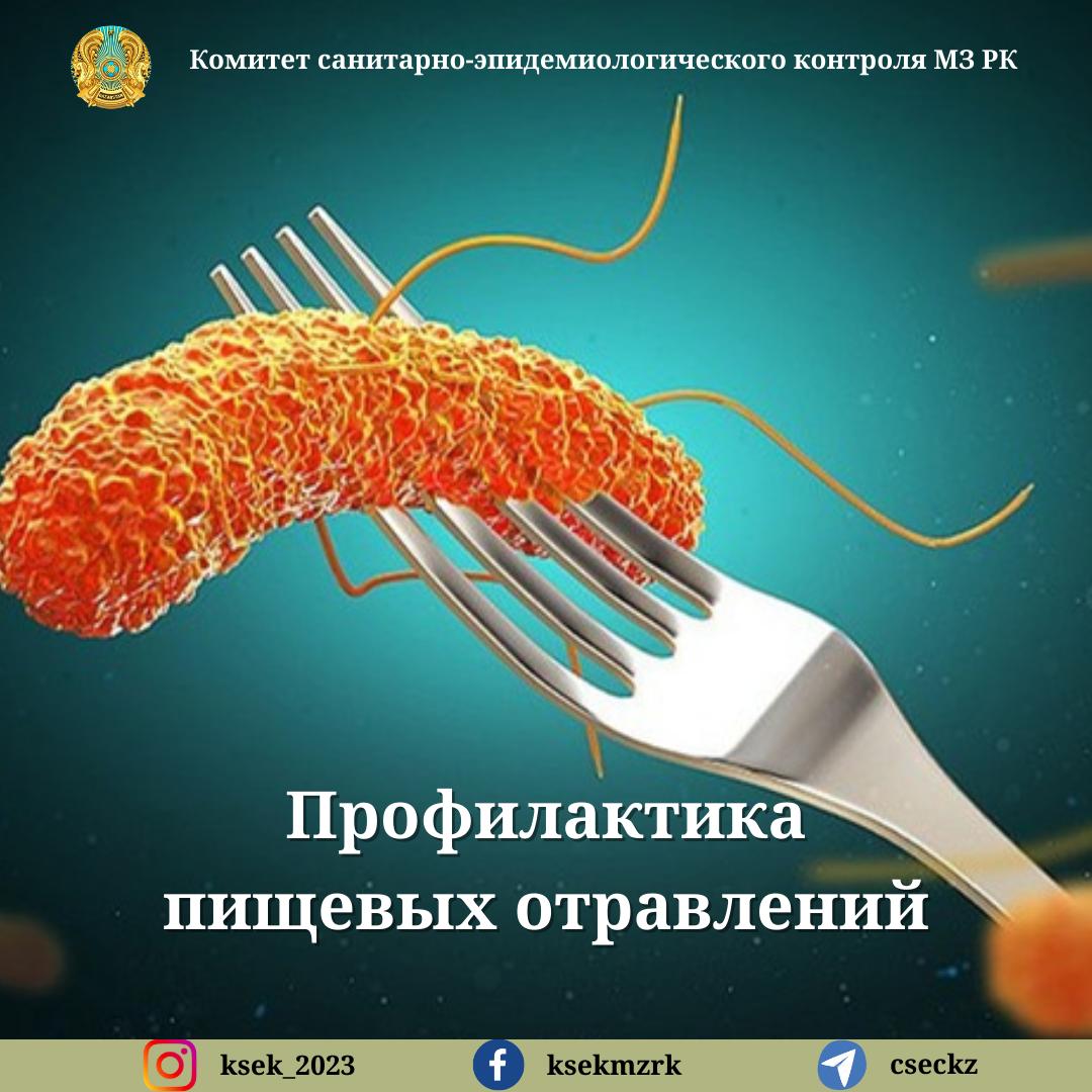 Профилактика пищевых отравлений