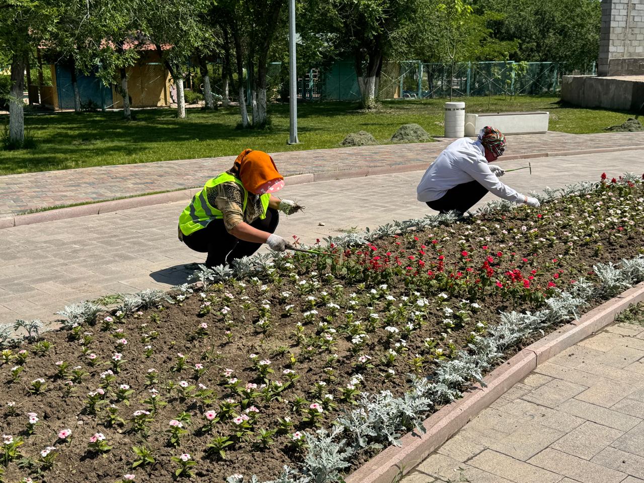 Жасыл қала Қонаев: в городе высажено 70 тысяч цветов