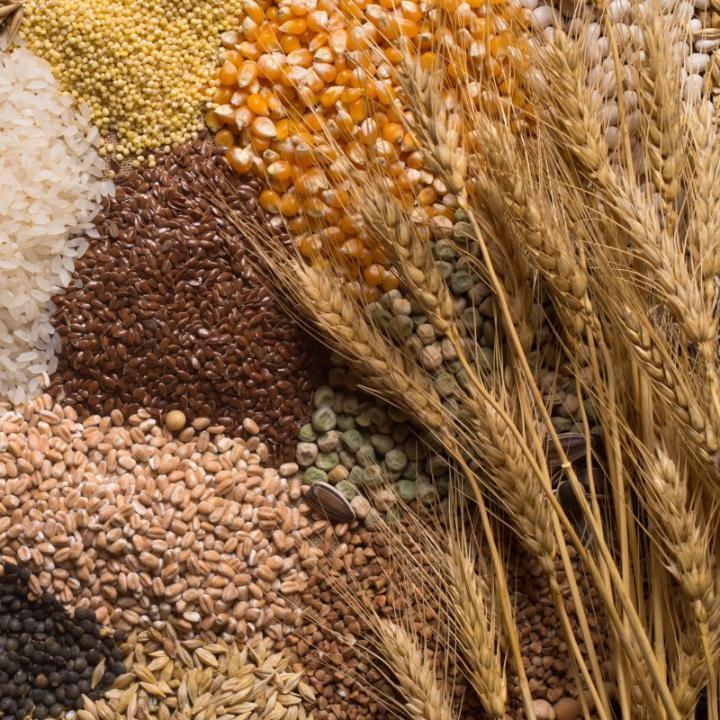 Дәнді, майлы және бұршақ дақылдарын өндірушілерге арналған сауда стратегиясы бойынша ұсыныстар 21.04.2025