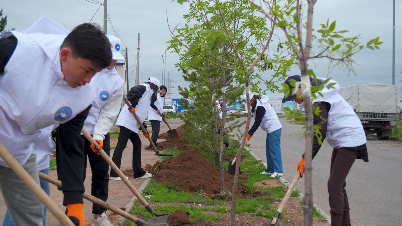 «Таза Қазақстан»: молодежь АНК посадила деревья в Астане