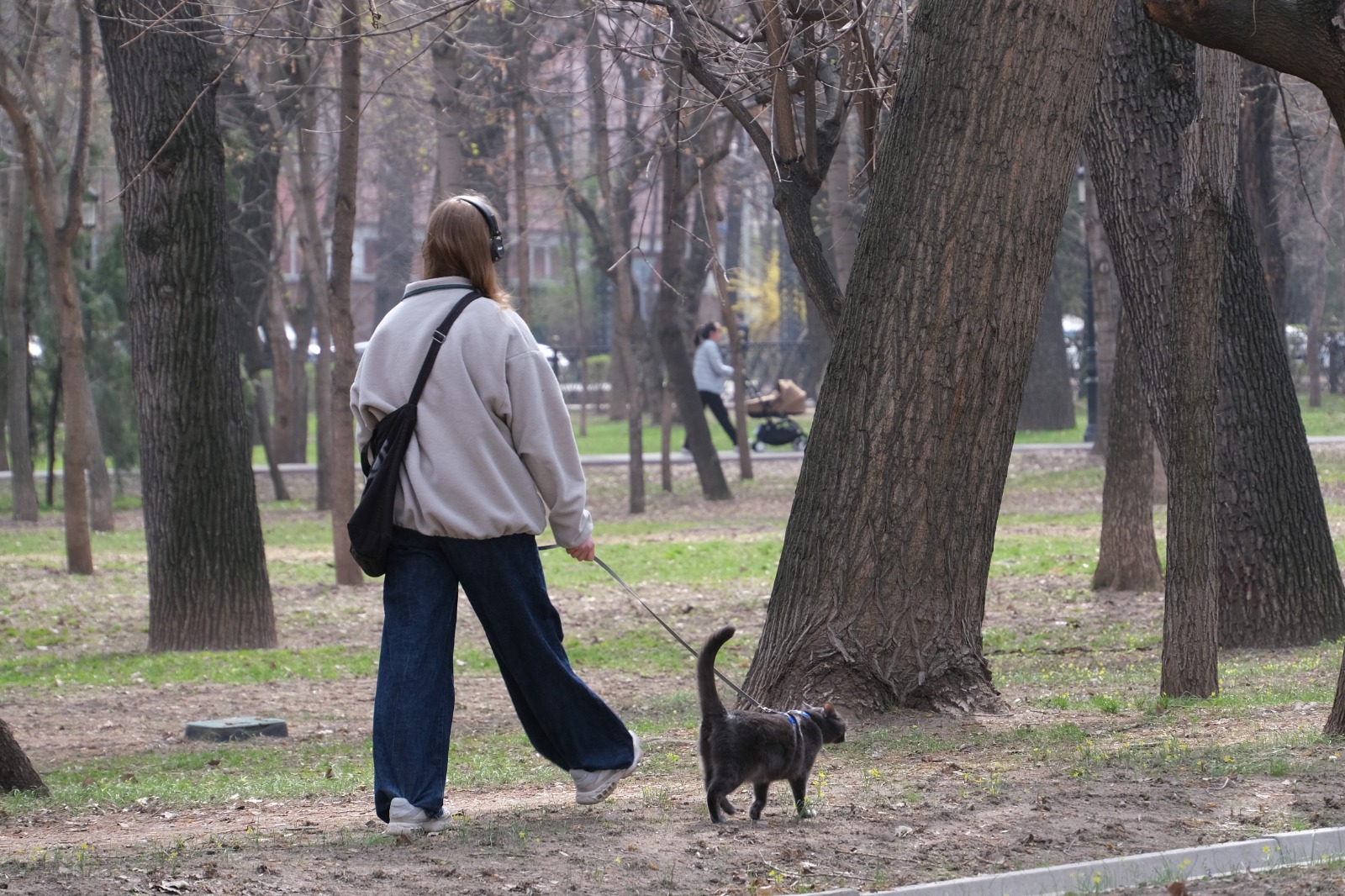 В Алматы стартует программа чипирования домашних животных