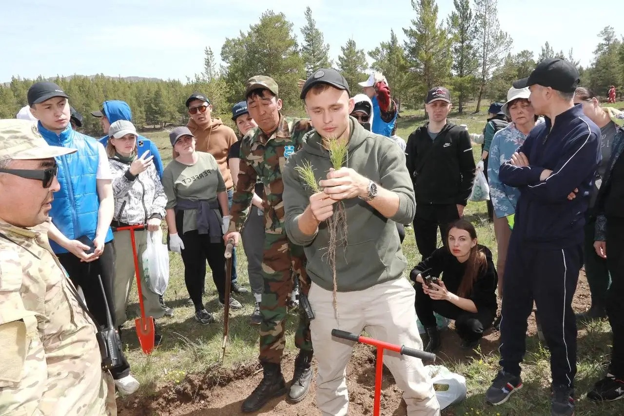 В восточном Казахстане посадят 29 миллионов саженцев