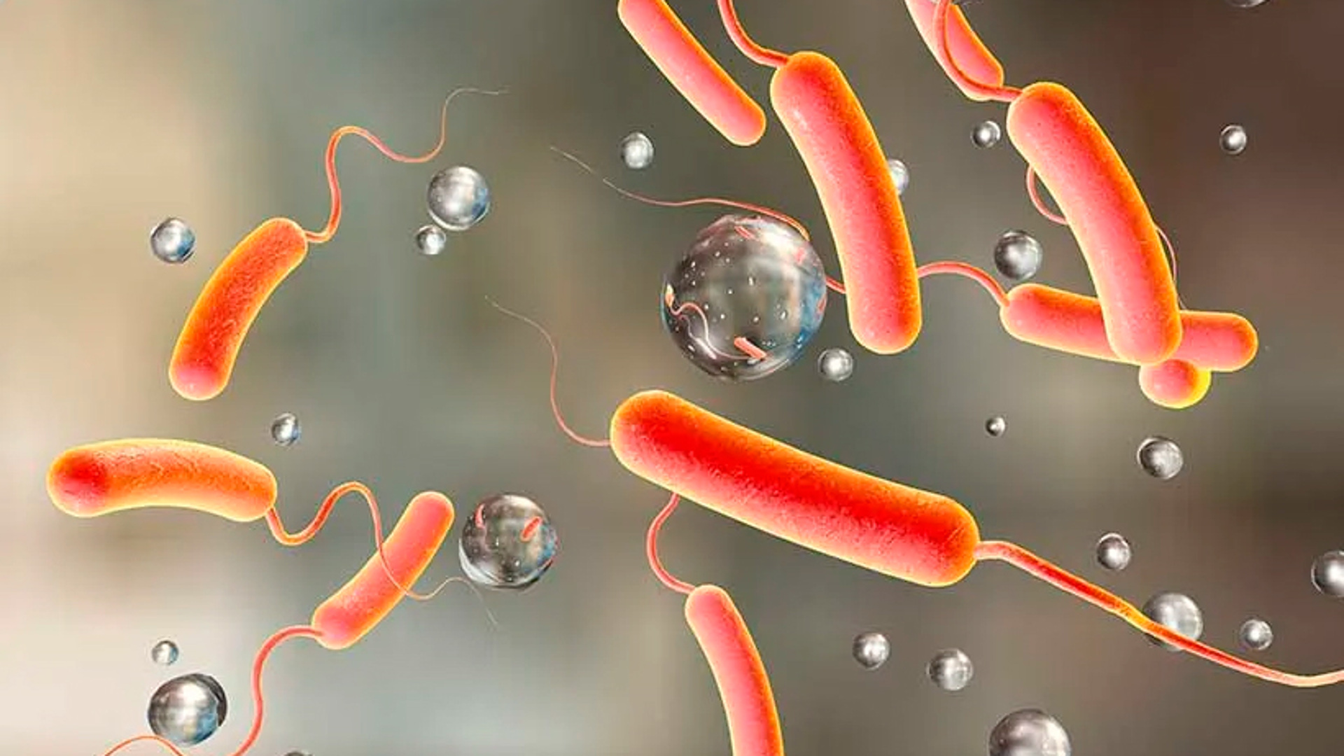 Паолина Боргезе қатысқан ретро порно фильмдер