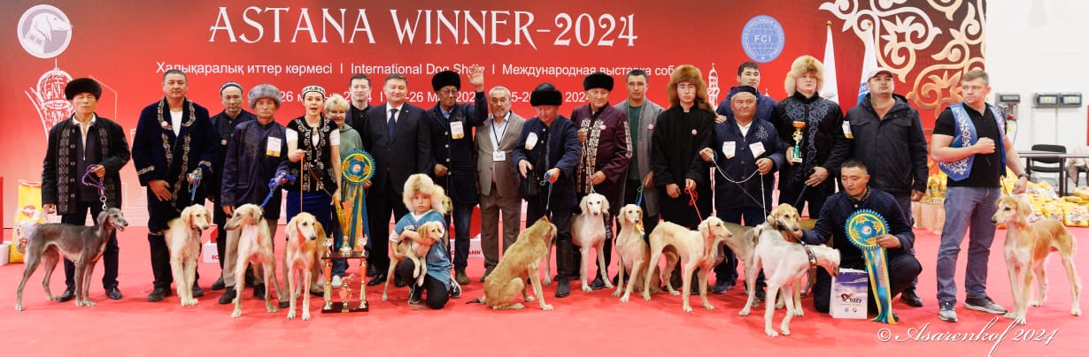 «Kazakh Tazy 2024» моно тұқымды көрмесі