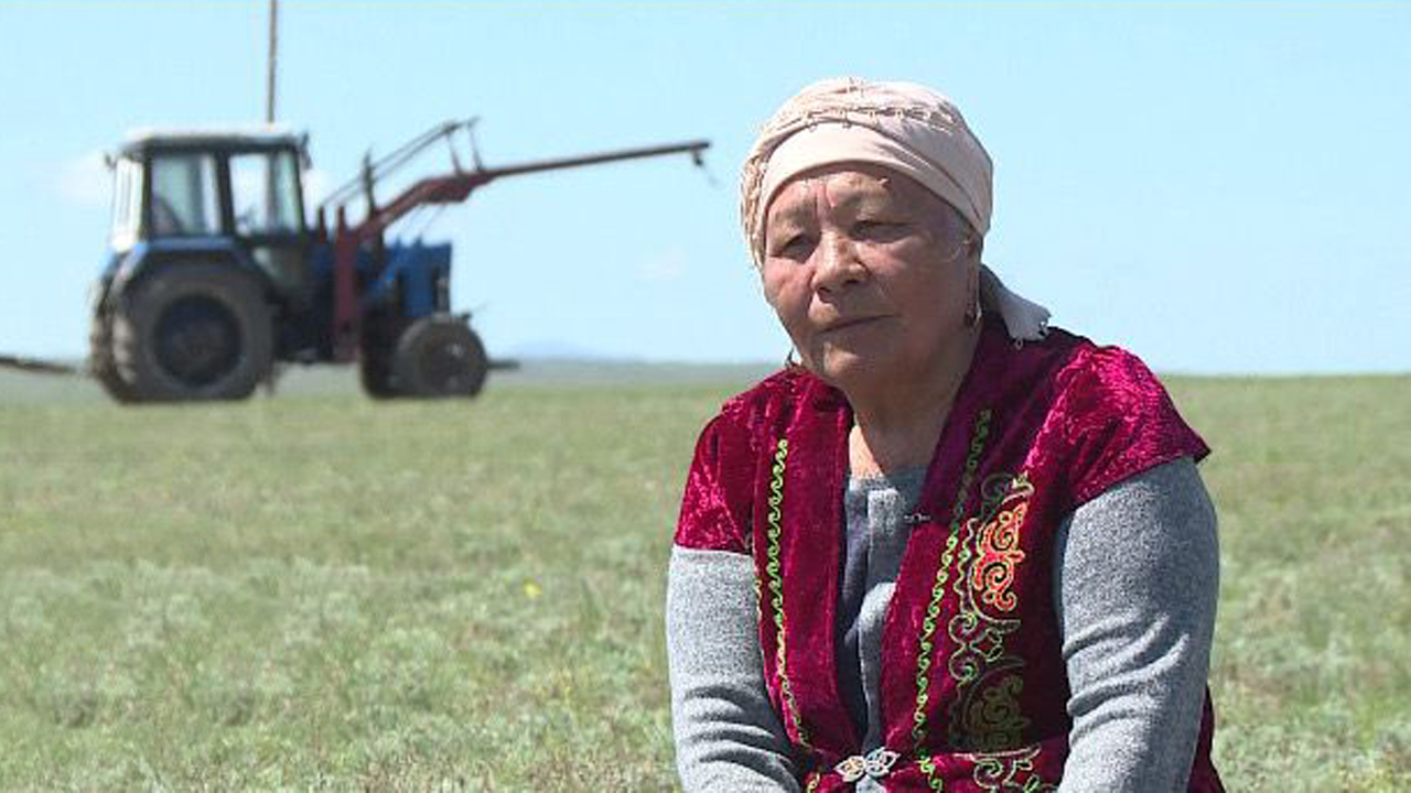 Жетілген письки мен есектердің жақын пландағы порнофотосуреттері