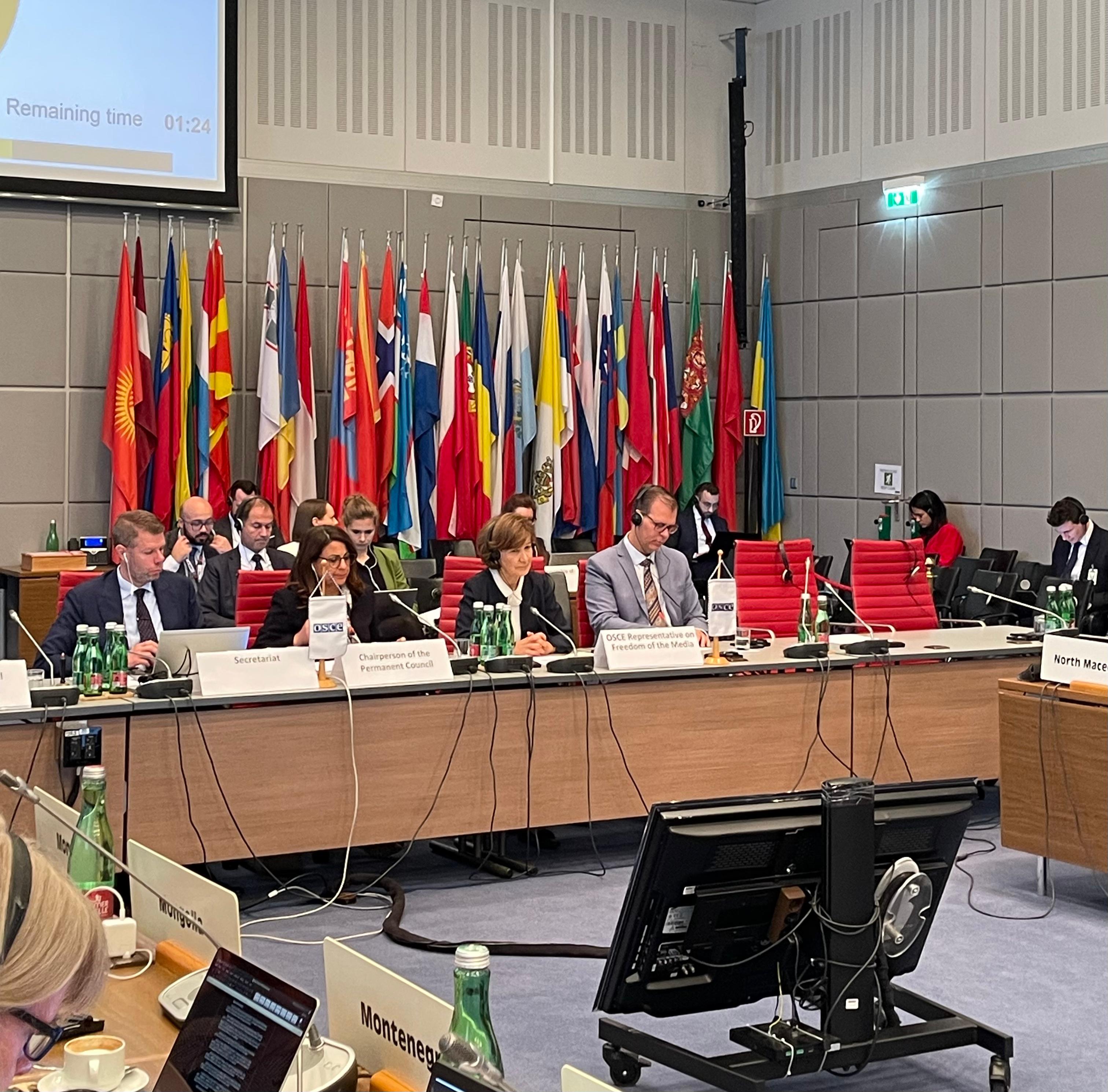 Kazakhstan Actively Supports the Efforts of the OSCE Representative on Freedom of the Media