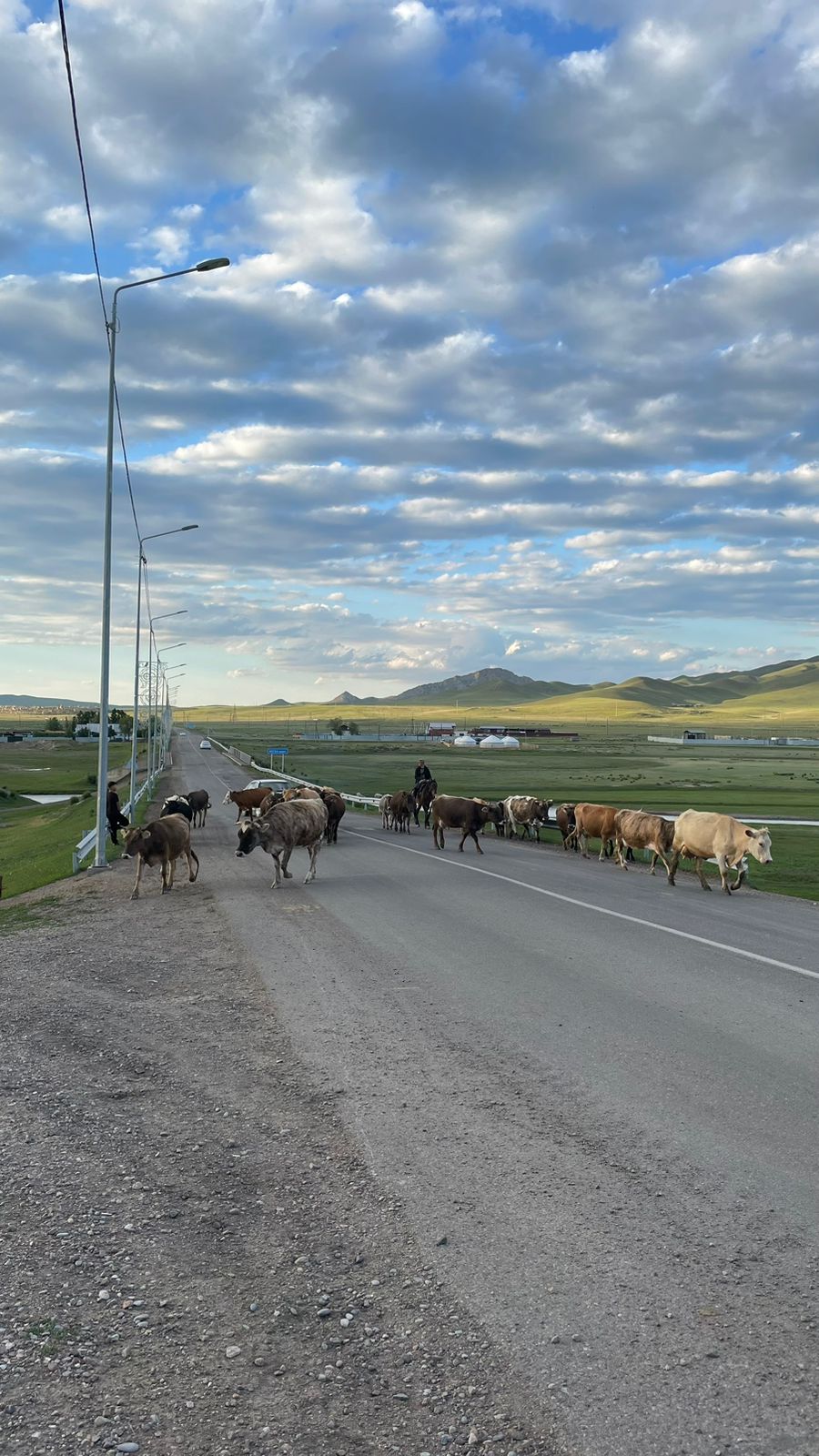 Қара сиськи үлкен Қара сиськи үлкен