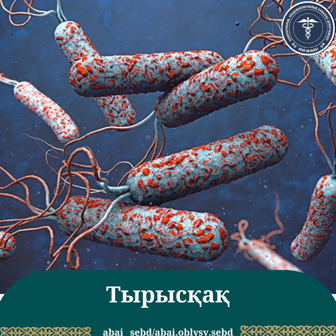 Израиль порнофотосуреттері