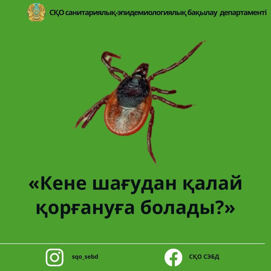 Барбара қуыршақ порно