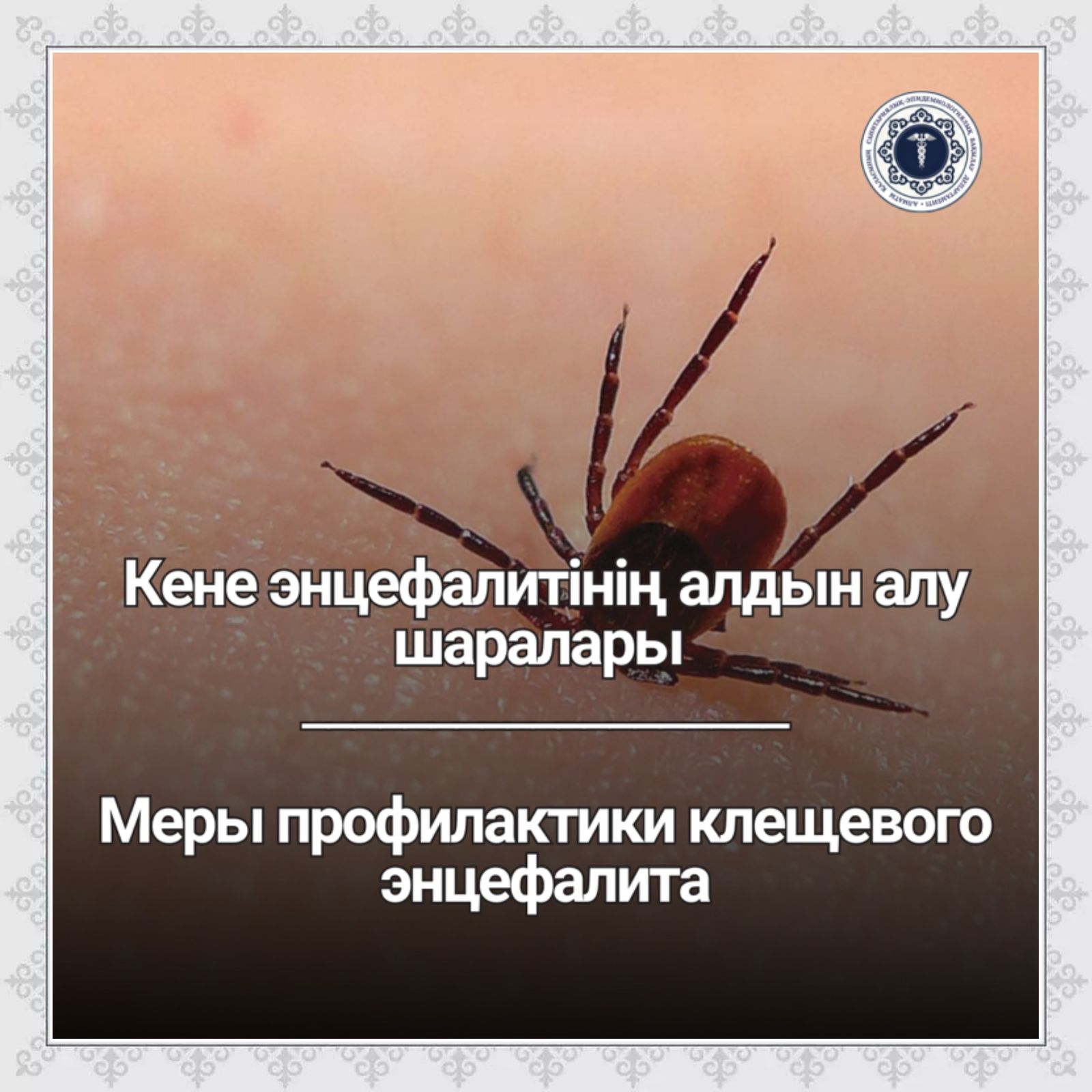Меры профилактики клещевого энцефалита