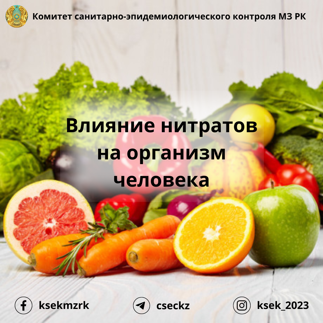 Влияние нитратов на здоровье человека проект