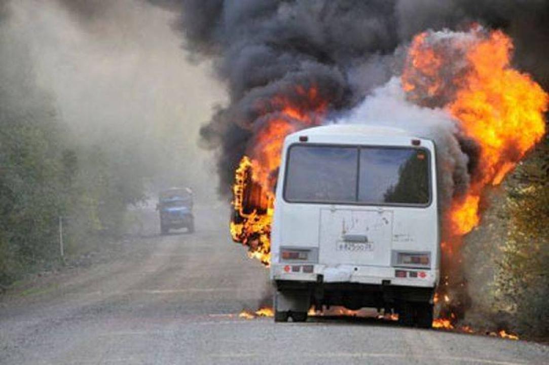 Кесілген пенис