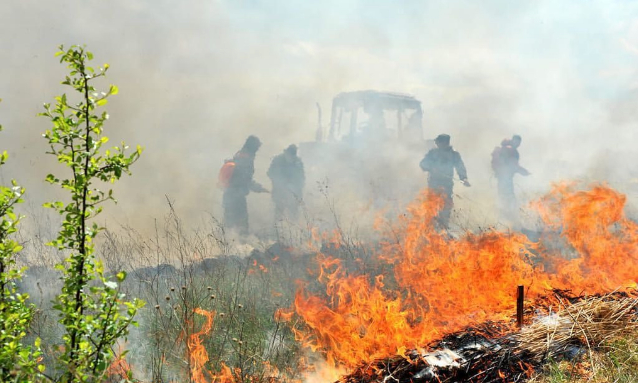 Тар шалбардағы қыздар оларды шешеді