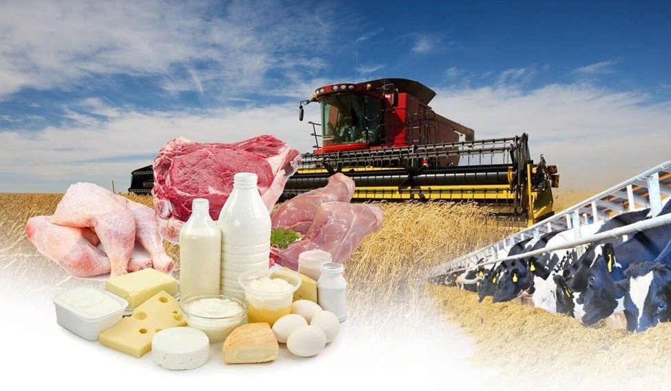 Ауыл шаруашылығы тауар өндірушілерінің жетістікке жету жолдары