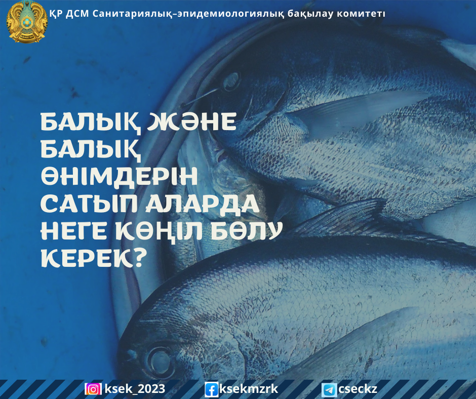 Балық және балық өнімдерін сатып аларда неге көңіл бөлу керек?