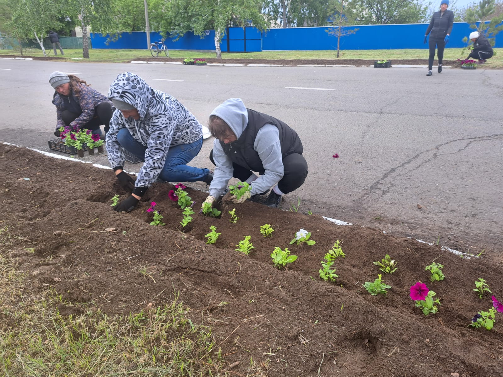 Разбивка цветников