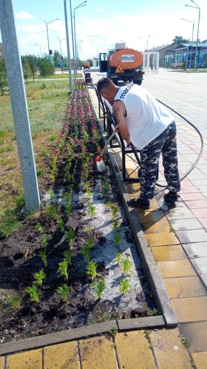 Уход за зелеными насаждениями города Тобыл