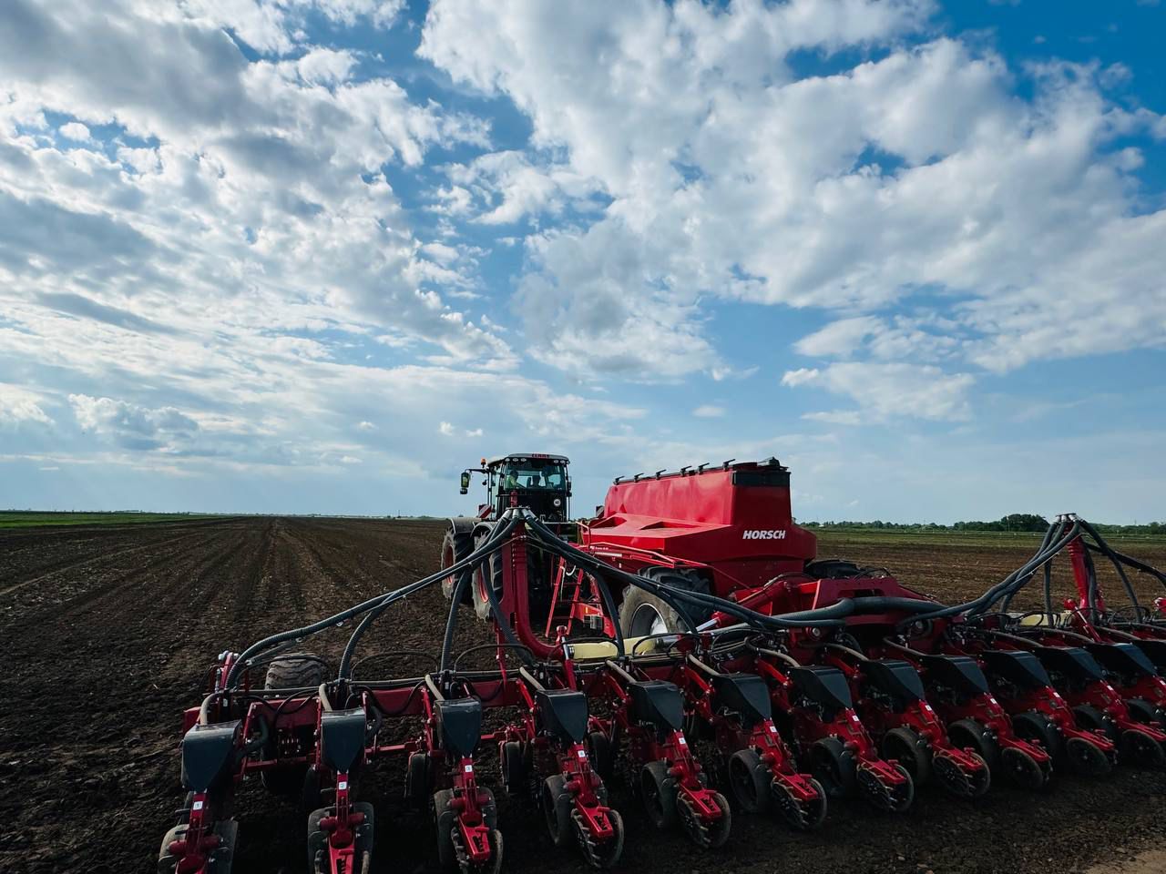 В южных регионах засеяно 804 тысячи гектаров