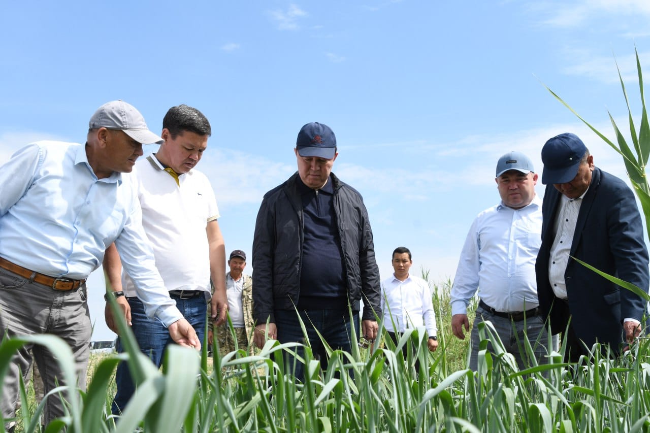 Нағыз оргазм туралы жеке бейне