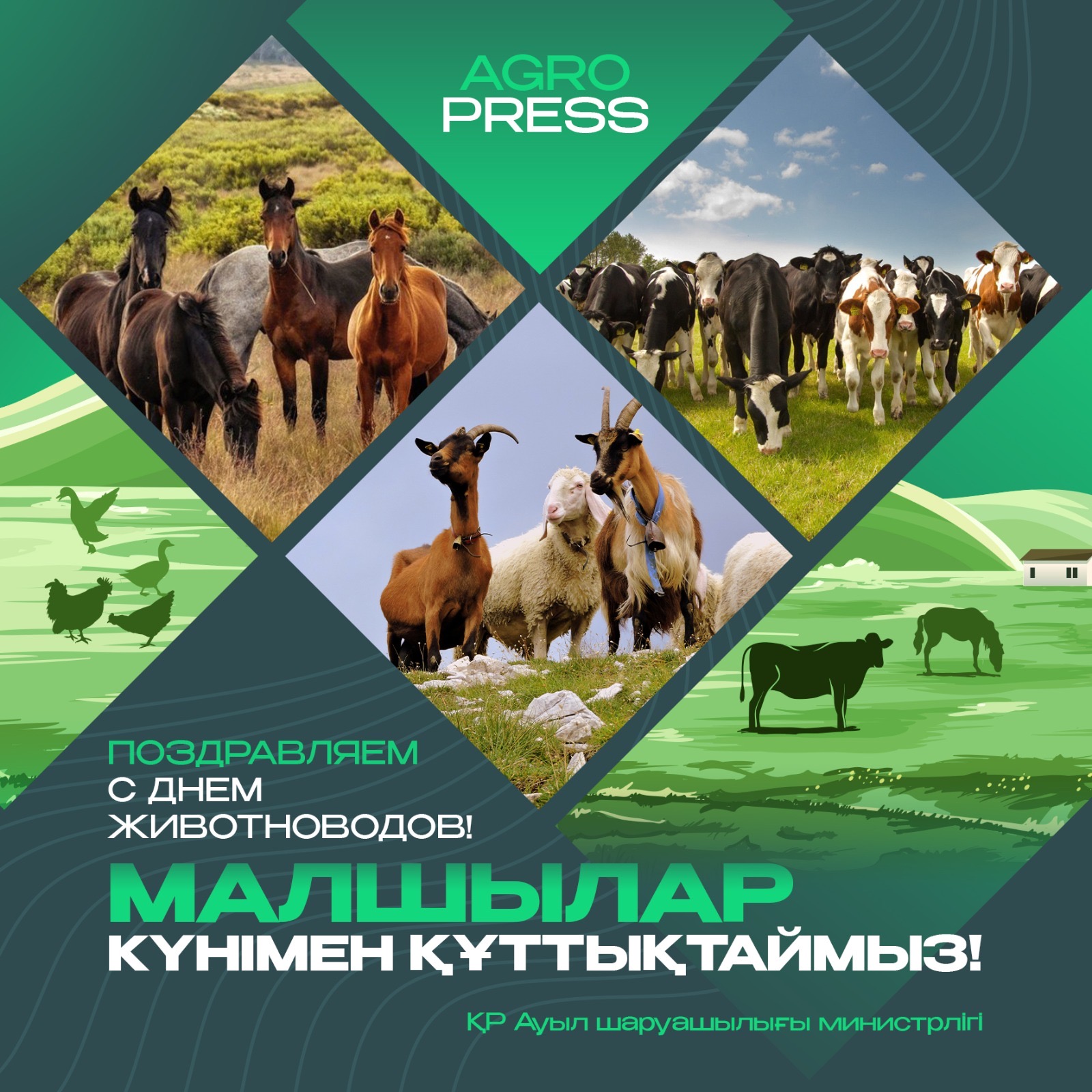 Құрметті мал шаруашылығы саласының қызметкерлері және ардагерлері!