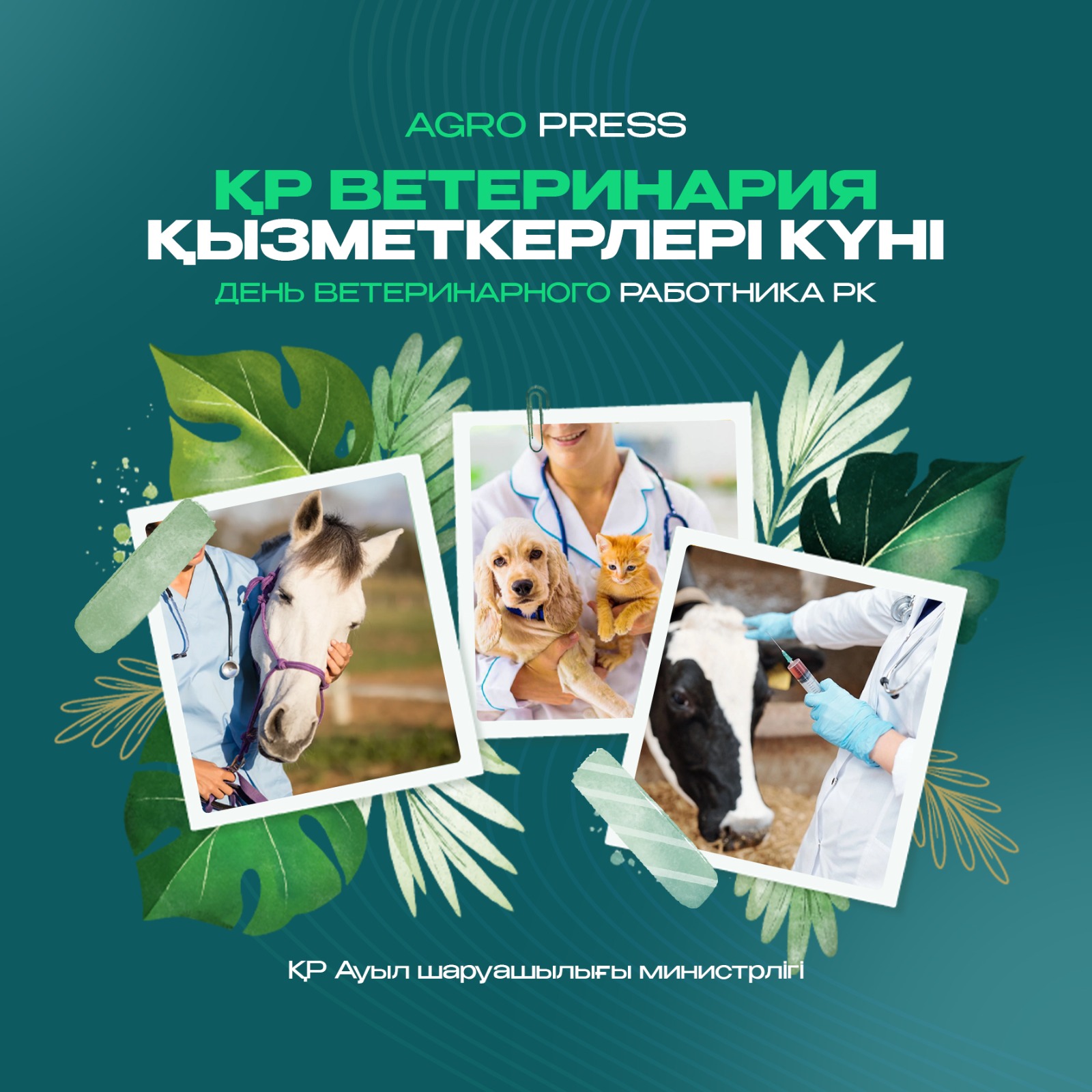 День ветеринарного работника отмечается впервые в Казахстане