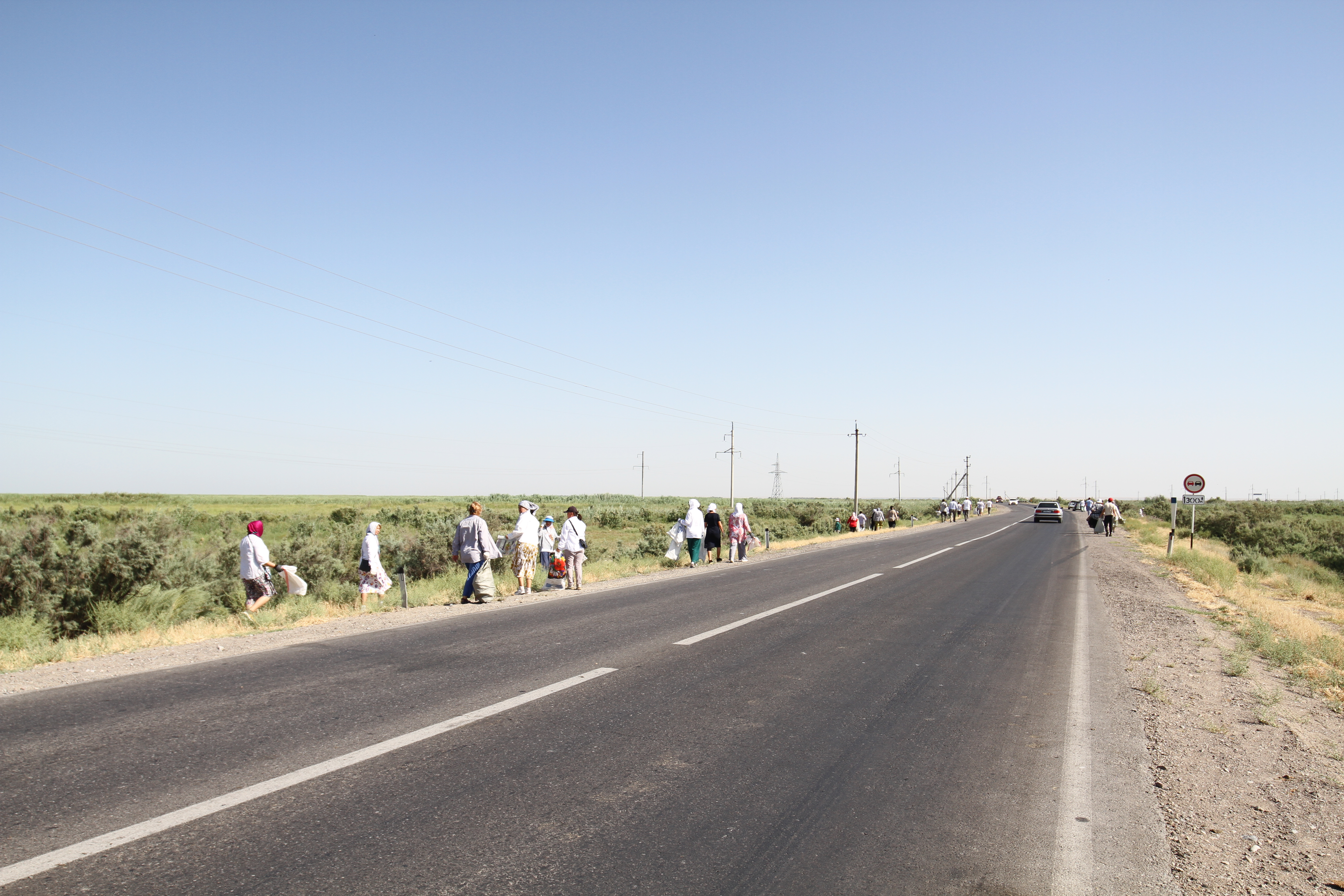 МАҚТААРАЛДА СЕНБІЛІККЕ 1300 АДАМ ҚАТЫСТЫ