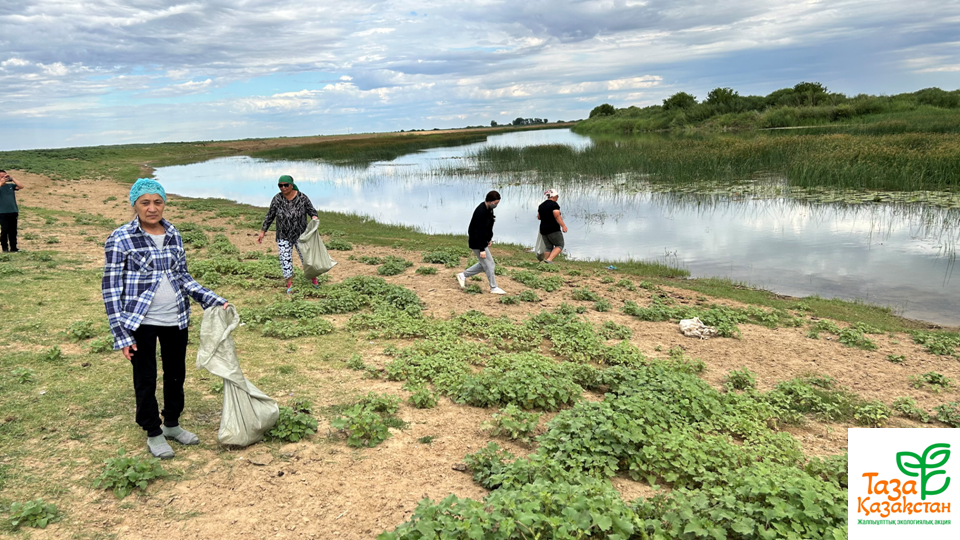 "Таза жағалау" акциясы
