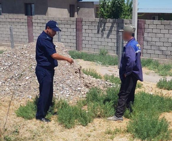 ТУРКЕСТАН: БОЛЕЕ 21 000 ПРАВОНАРУШЕНИЙ ВЫЯВИЛИ ПОЛИЦЕЙСКИЕ В РАМКАХ АКЦИИ "ТАЗА ҚАЗАҚСТАН"