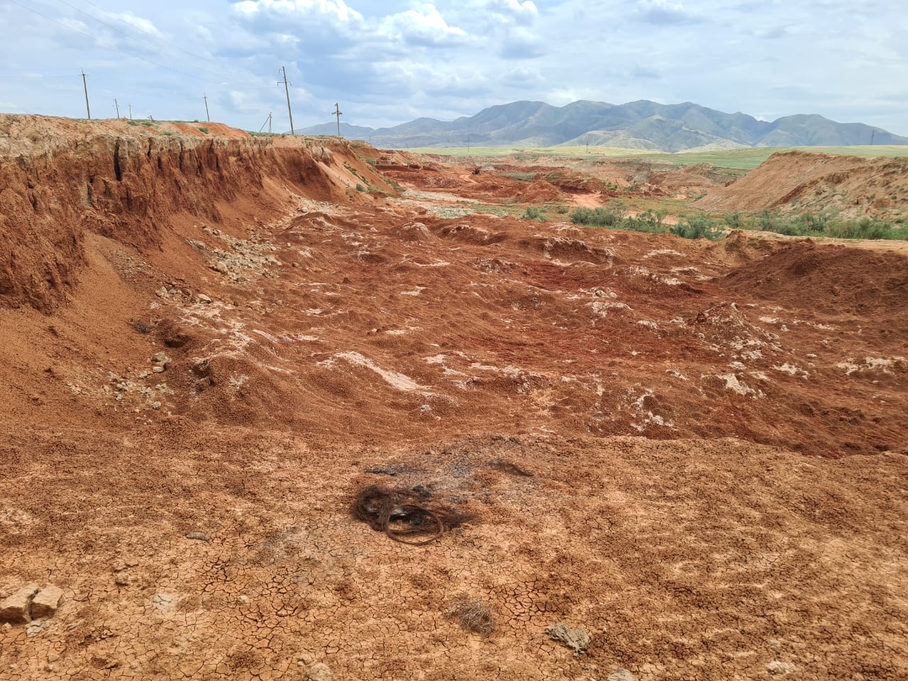 Пресечен факт самовольного занятия земель