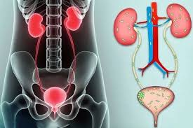 Жігіттің анасының досын сиқығанын қараңыз