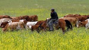 Порно фильмдерге кастинг Әйелдер қолдарымен мастурбация жасайды (интернеттегі порно топтама)