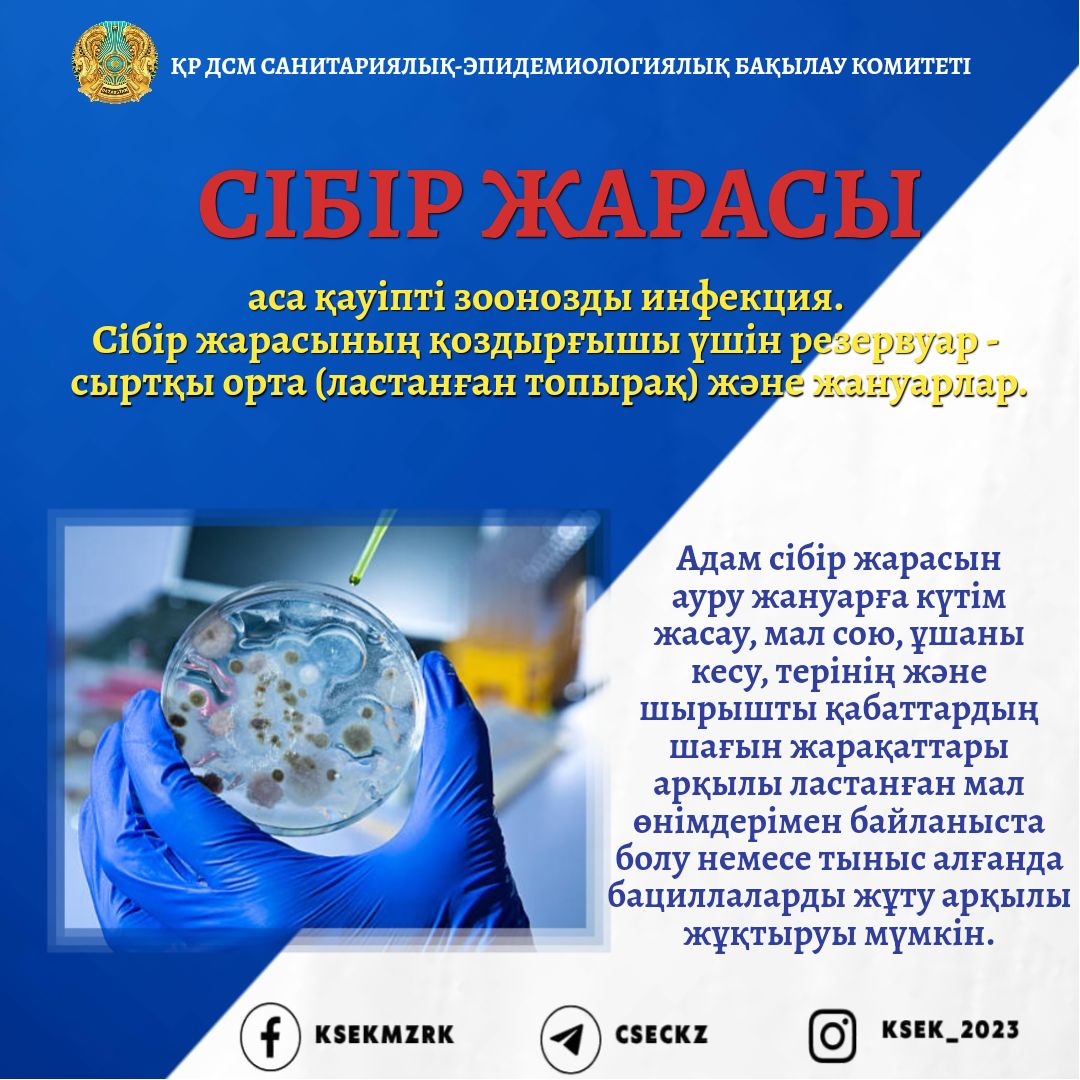 Өзбек жігіті орысты сигийді.