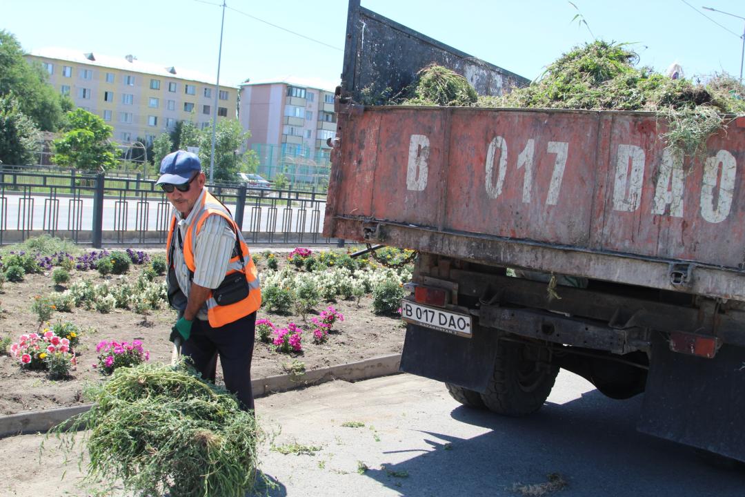 Шөптерден тазалау