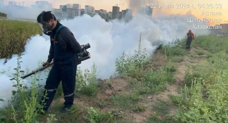 Борьба с распространением комаров и мошек: в Астане завершили 4 тур обработки водоемов