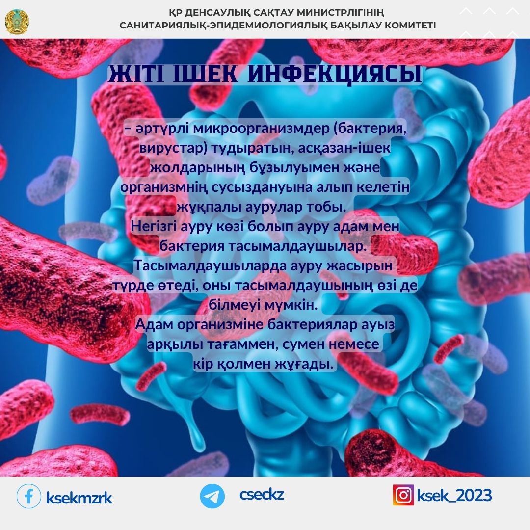 Бакалавр кешінде жалаңаш фотосуреттер