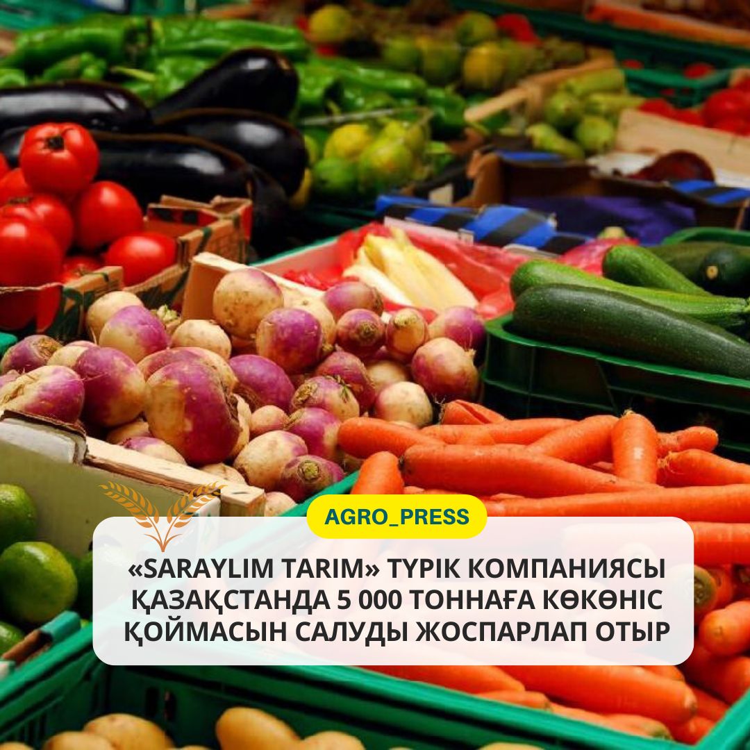 «Saraylim Tarim»  түрік компаниясы Қазақстанда 5000 тоннаға көкөніс қоймасын салуды жоспарлап отыр