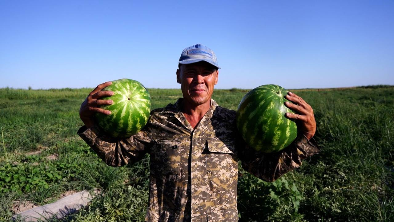 «Биыл су мол, адамдар разы. 10-15 күннен соң қайта өнім жинауды жоспарлап отырмыз», - Түркістан облысының шаруалары 2024 жылғы суару маусымы туралы