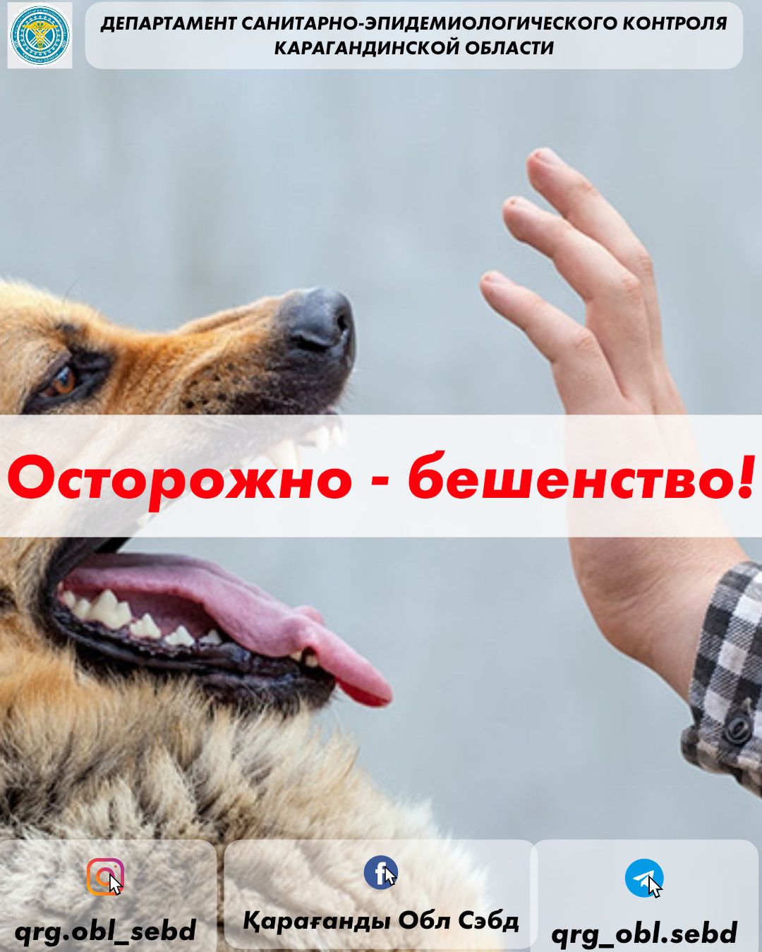 Осторожно – бешенство!