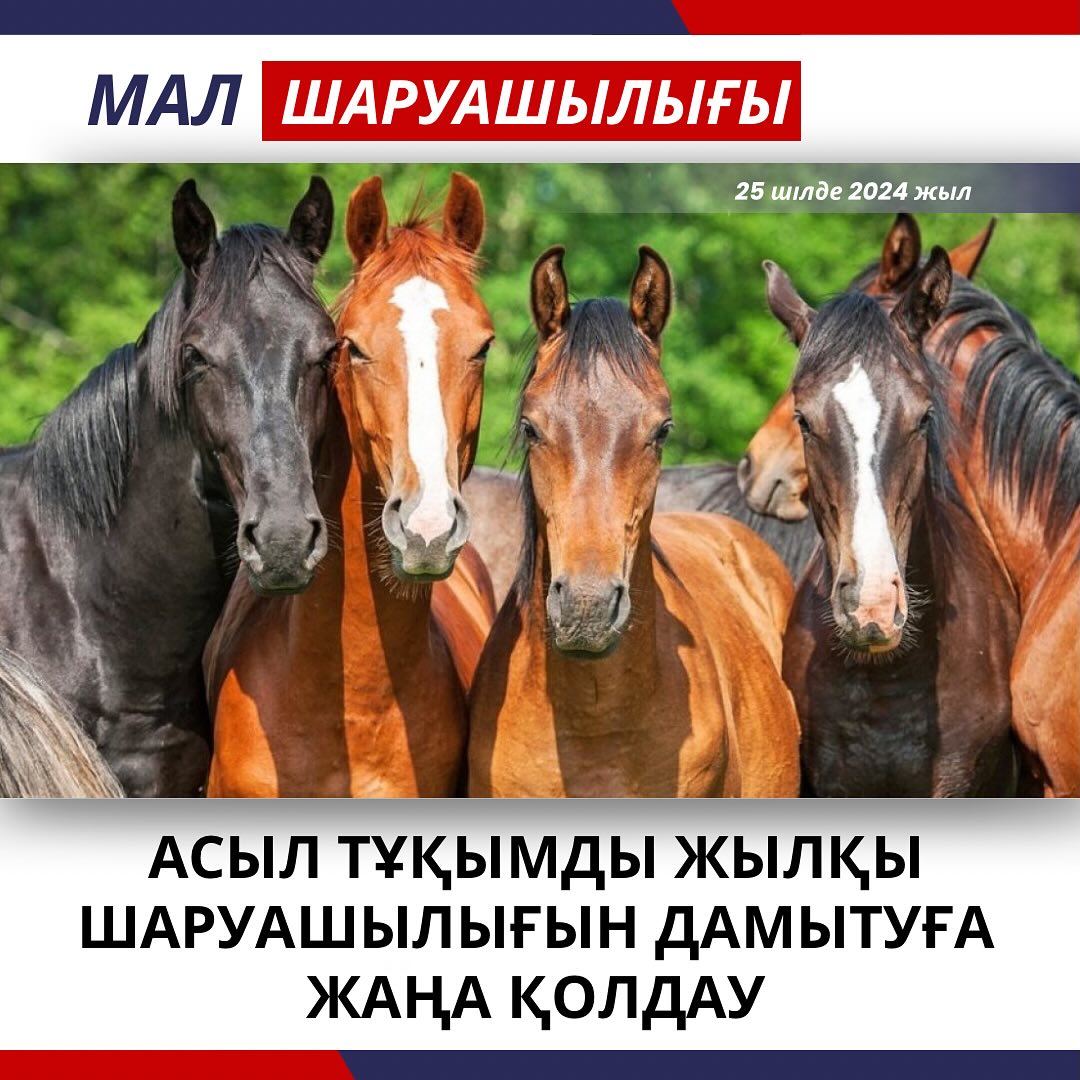 Кейша Грей HD порно