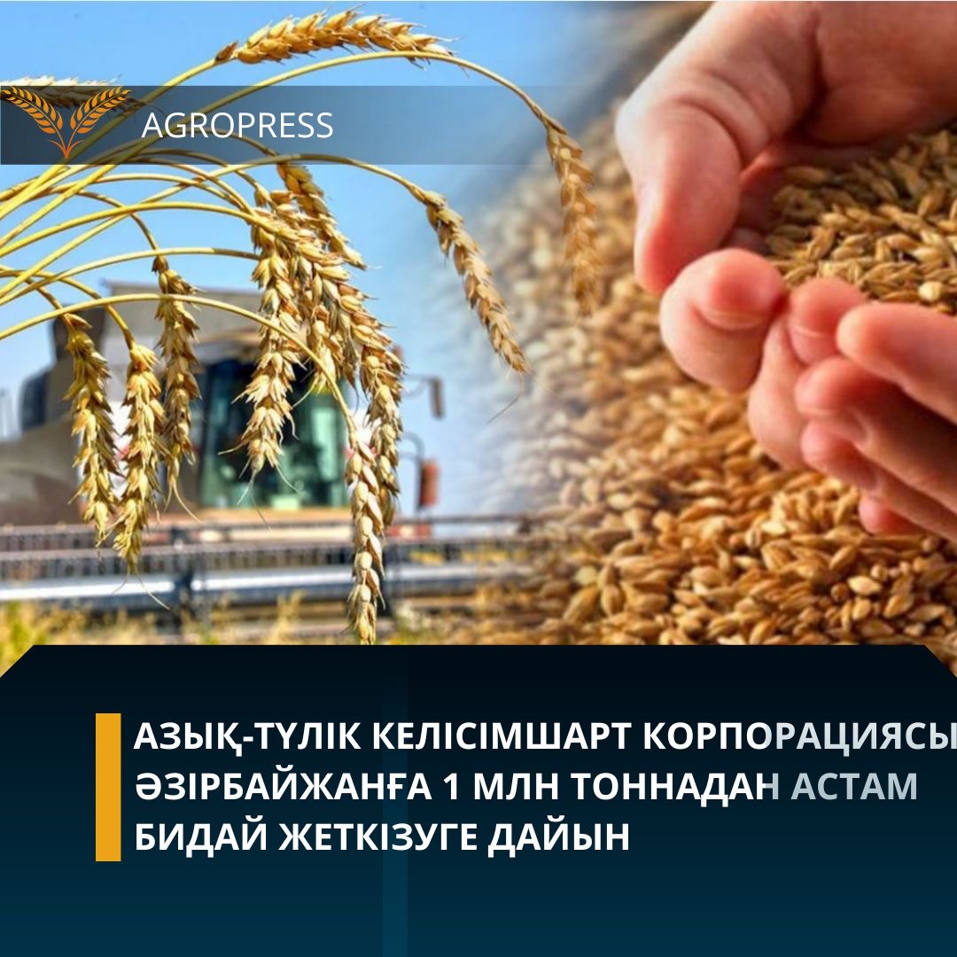 Азық-түлік келісімшарт корпорациясы Әзірбайжанға 1 млн тоннадан астам бидай жеткізуге дайын