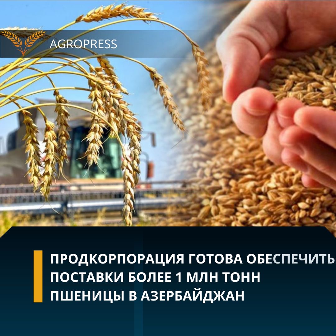 Продкорпорация готова обеспечить поставки более 1 млн тонн пшеницы в Азербайджан