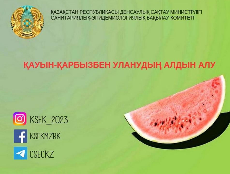 Қауын-қарбыздан уланудың алдын алу