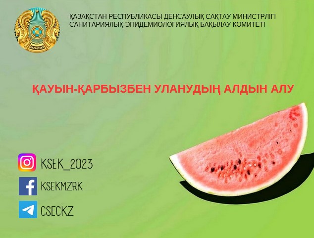 Қауын-қарбысдан уланудың алдын алу
