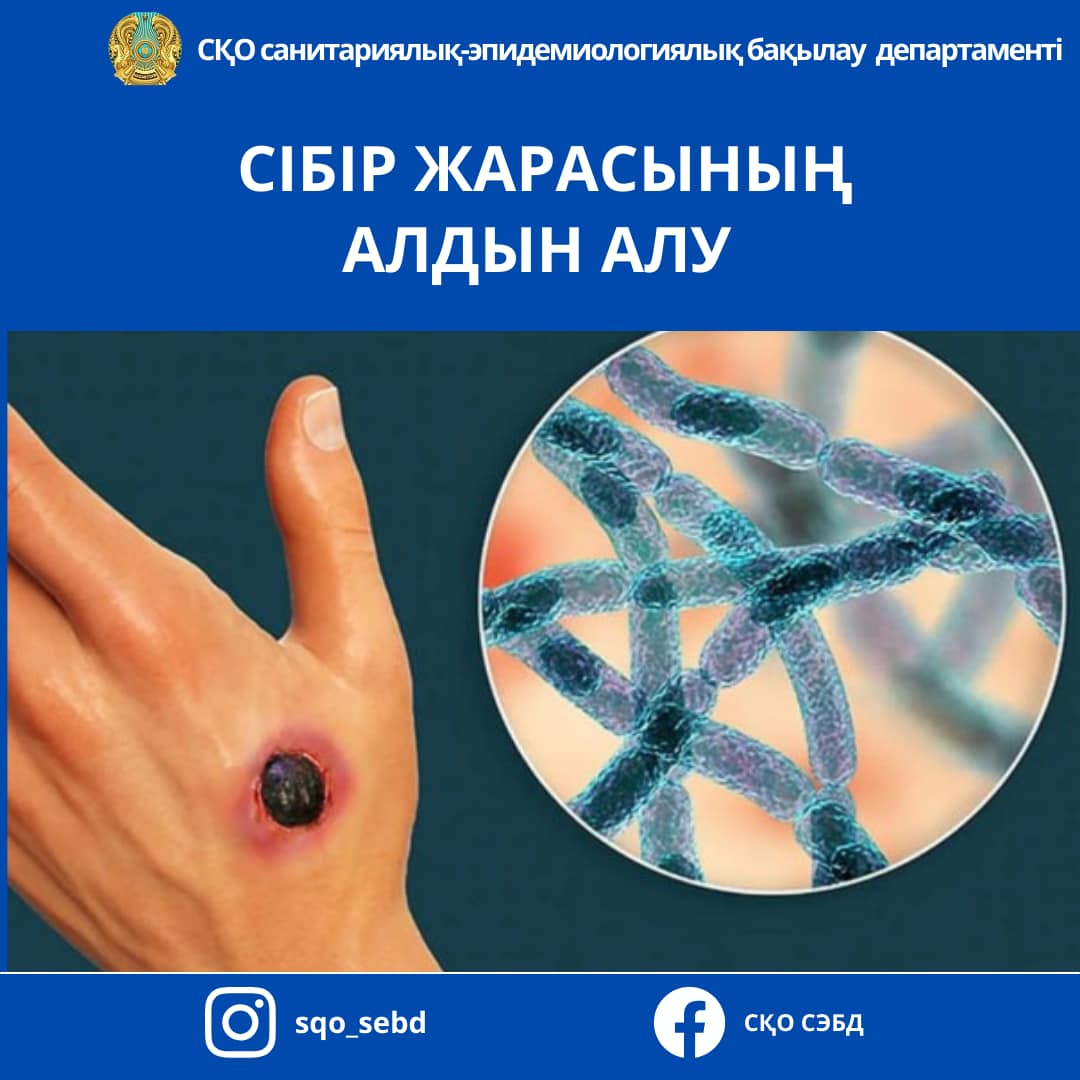 Транс оргазмы толығырақ