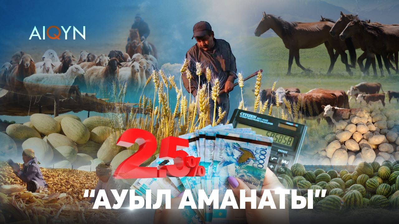 Программа "Ауыл аманаты"